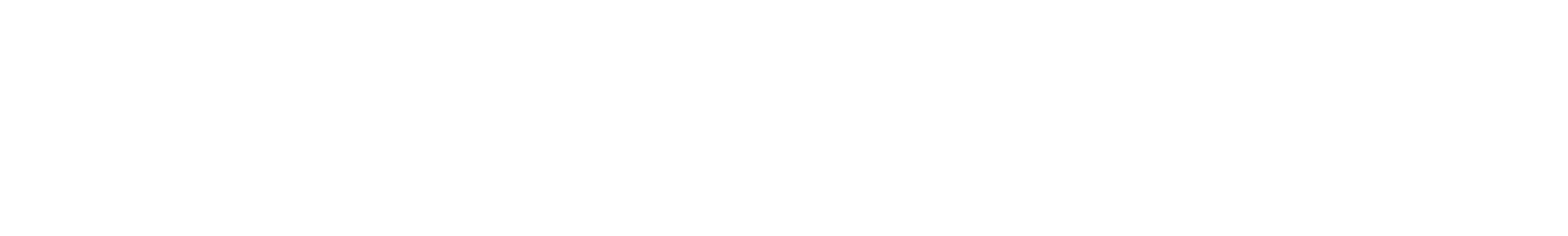 DPDP Audits